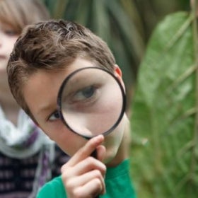 A young boy holds a magnifying glass up to his eye while examining a leaf. 