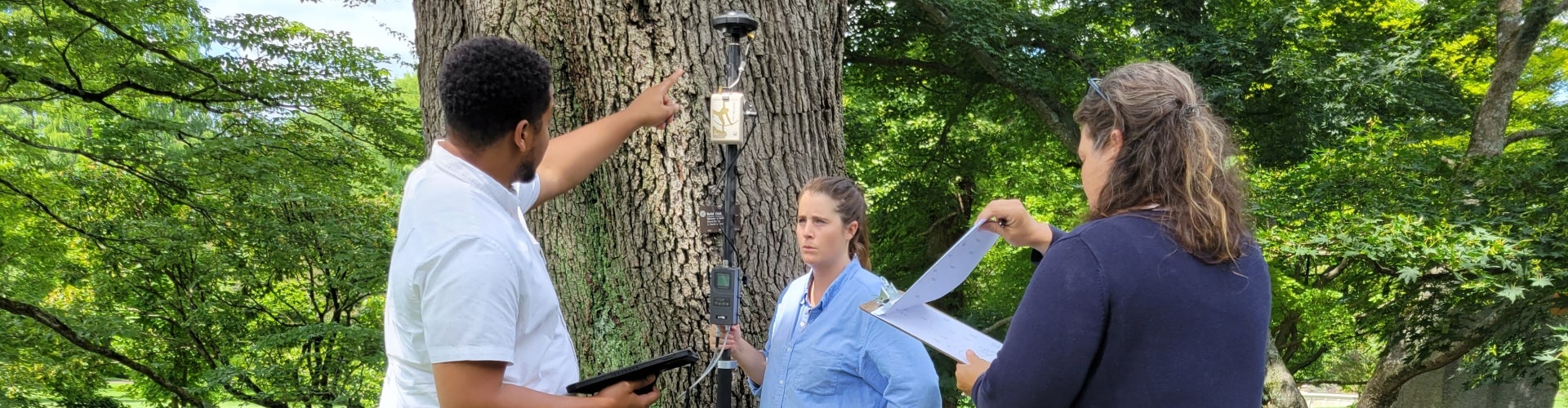 Three people stand in front of a tree with devices in their hands.