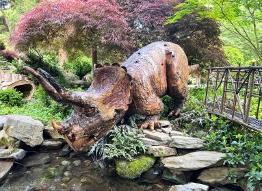 A fabricated Triceratops made of natural materials in a garden setting. 