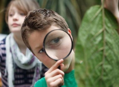 A young boy looks through a magnifying glass at a leaf. 
