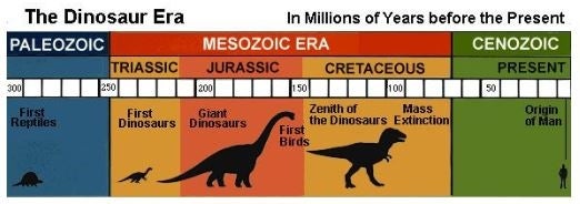 A timeline the dinosaur era.