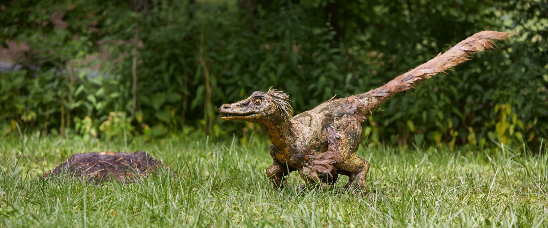 A small fabricated prehistoric animal made of natural materials. 