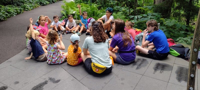 A group of young summer campers sit in a circle outdoors and raise their hands. 