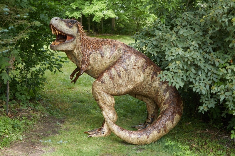 A large fabricated Tyrannosaurus made of natural materials in a wooded landscape.