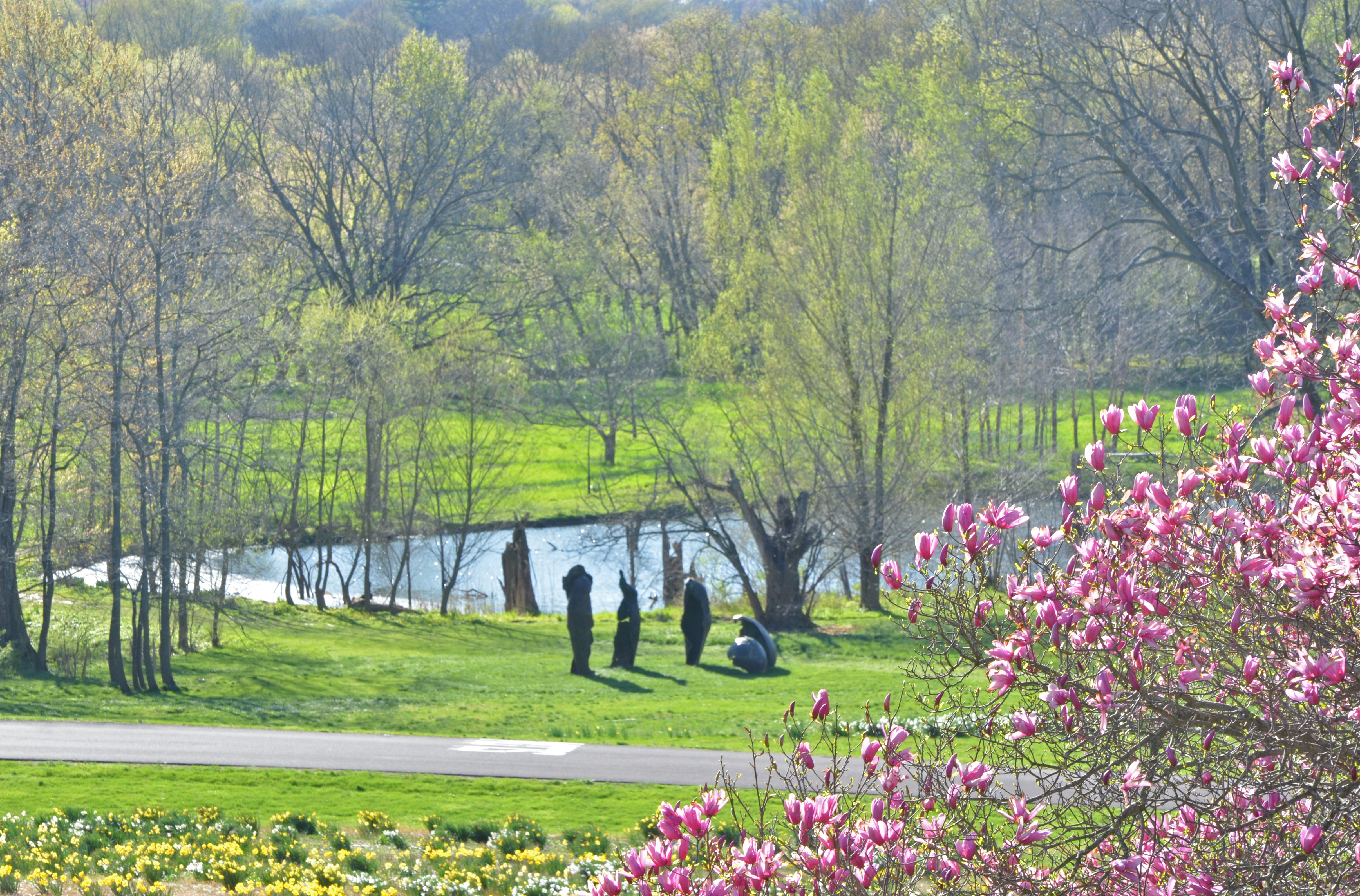 PWM_5087 copy.jpg An abstract series of metal sculptures in front of a body of water, surrounded by green grass, spring trees, and a pink flowering magnolia.