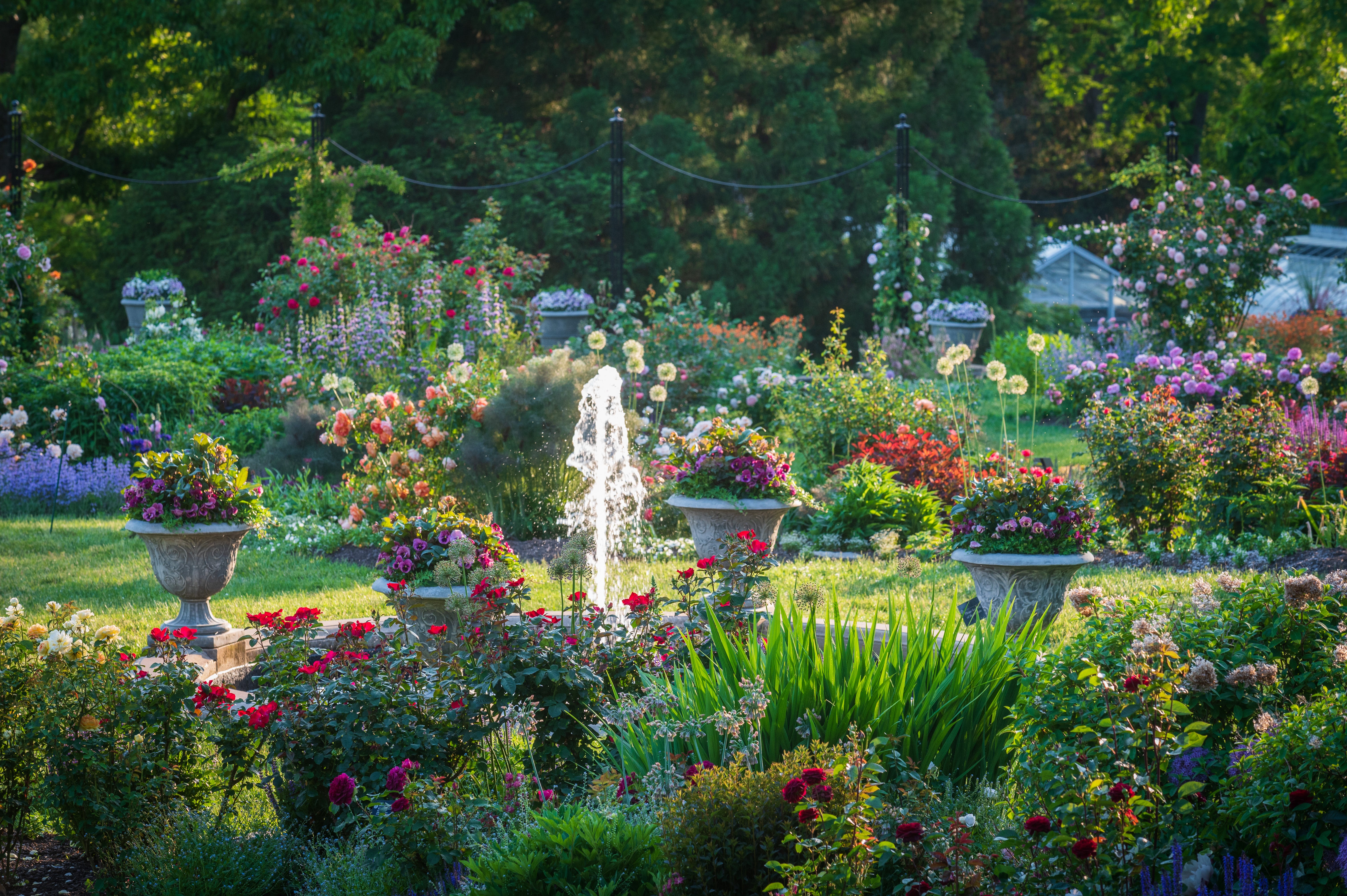 Morris Arboretum & Gardens