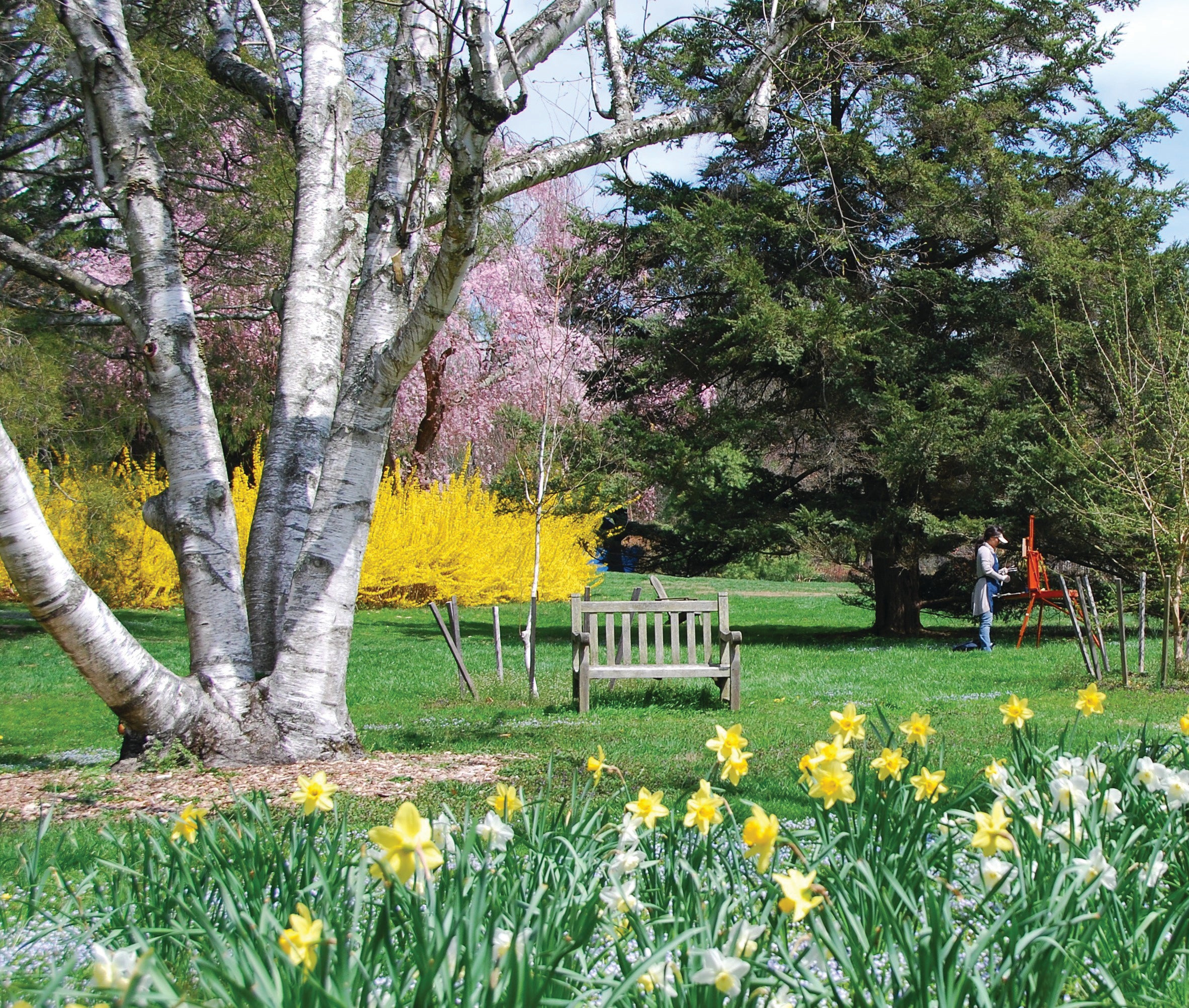 A person in the distance paints on an easel in a green outdoor space in bloom with spring flowers.