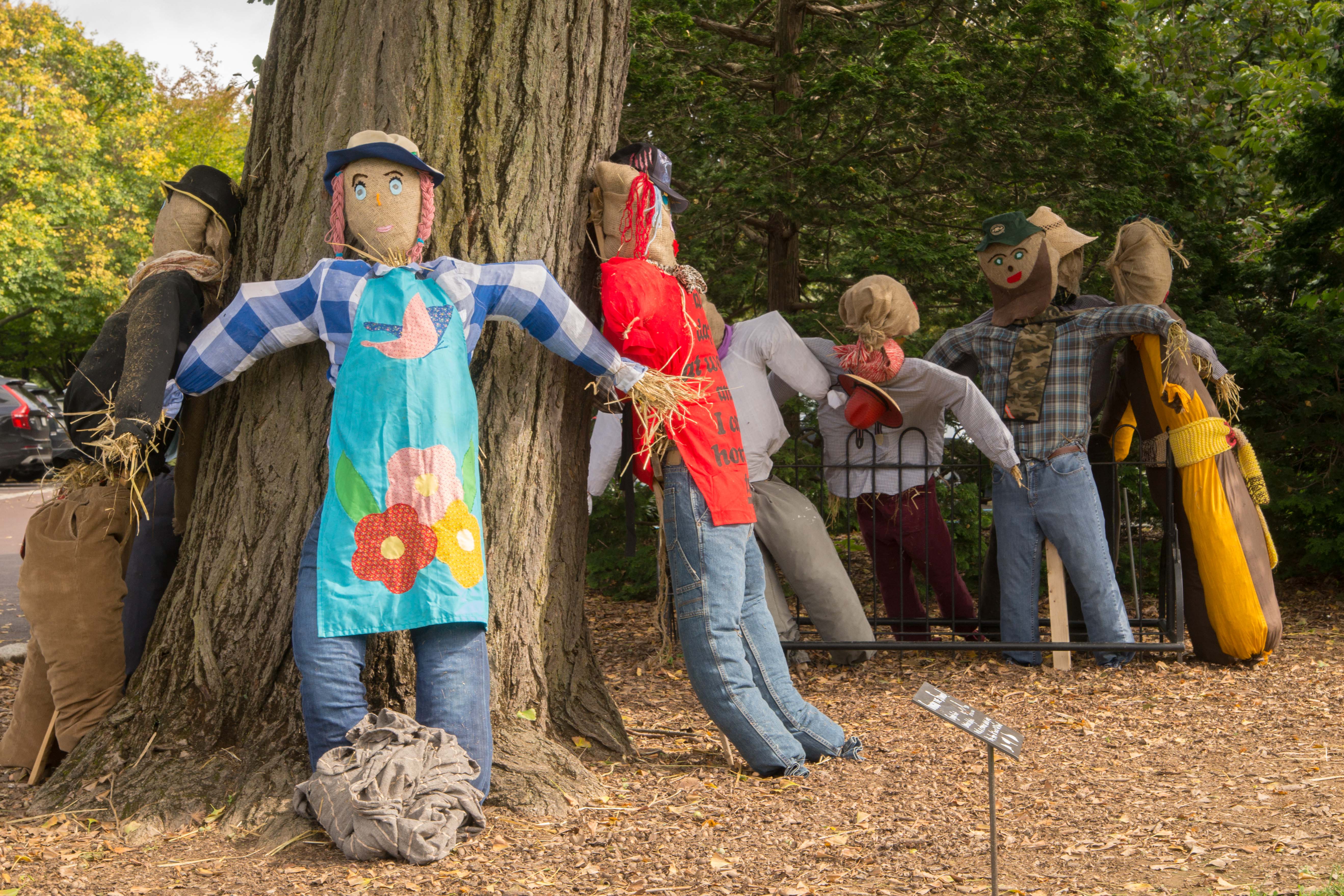 Scarecrows dressed in different outfits lean against a tree.