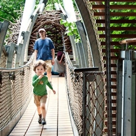 A child runs through an tree canopy platform. 