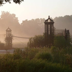 A bright foggy scene of an ornate iron gate and foliage.