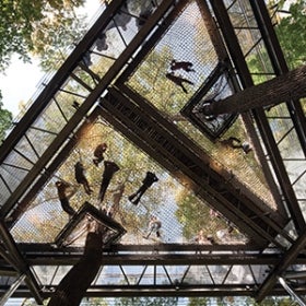A photograph taken looking up at a group of people standing on a net in the treetops. 