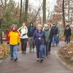 A group of people in winter coats walk on a path surrounded by trees.