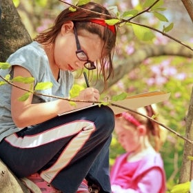 A young girl wearing glasses sits in a tree writing in a notebook.
