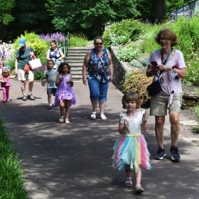 A young girl in a fairy costume walks toward the camera with an adult. 