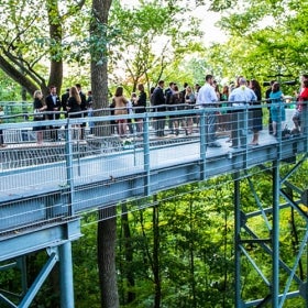 A large group of people mingle on an elevated platform in the trees for a wedding cocktail hour. 