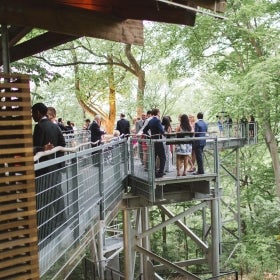 A group of people mingle on an elevated platform in the treetops. 