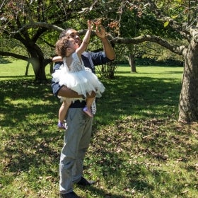 A man holding a small girl reach for cherries on a tree.