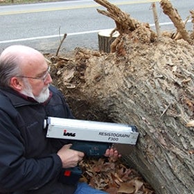 A man holds a long metal tool up to a fallen tree trunk. 