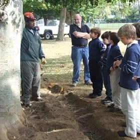 A group of young students stand near a tree with the roots dug up while a teacher speaks to them.