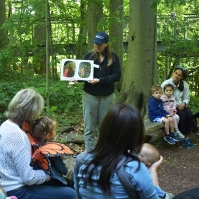 A young woman reads a picture book to a group of children in a wooded area. 