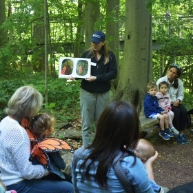 A young woman reads a picture book to a group of children in a wooded area.