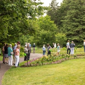 A large group of people mingling in a public garden.