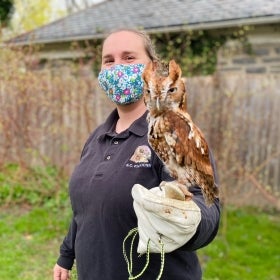 A woman wearing a mask on her face holds a small raptor on her gloved hand.