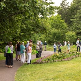 A group of people mingle outdoors in a public garden. 