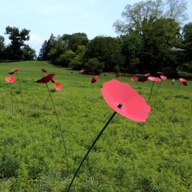A green meadow filled with large fabricated red poppy sculptures. 