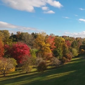 A sloping green hill covered in trees with fall foliage.