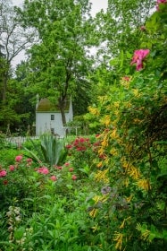 A small white cottage in the background with a garden in bloom with flowers in the foreground.