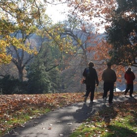 Three people walking away from the camera on a path surrounded by fall foliage. 