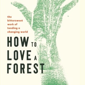 A cover a book with an abstract illustration of trees that reads, "How to Love a Forest: The Bittersweet Work of Tending a Changing World."