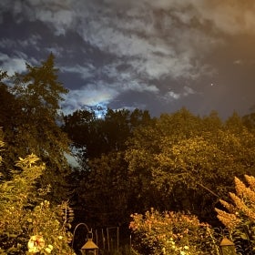 A night photo of the moon behind trees.