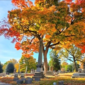 A cemetery in autumn with a large tree in the background. 