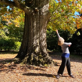 A woman dances under a large oak tree in fall, the ground covered in leaves. 