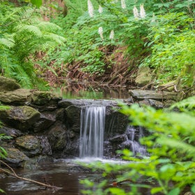 A small waterfall in a green wooded area. 