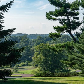 An outdoor view of a public garden filled with trees across the landscape.