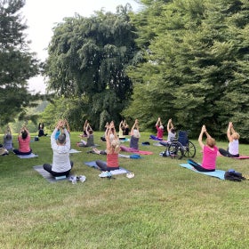 A group does yoga outdoors in a public garden. 
