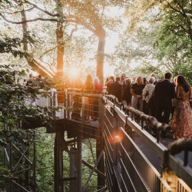 A large group of people in semiformal attire mingle on a walkway in the treetops.