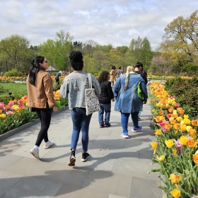 A group of people on a paved path walking away from the camera in a public garden blooming with tulips.