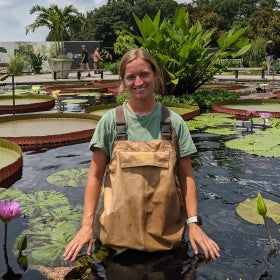 A woman stands in a man-made pond filled with water lilies and pads.