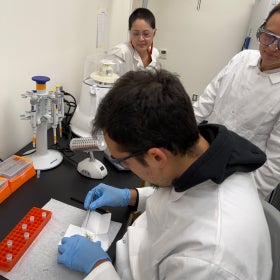 A person wearing a lab coat and blue rubber gloves extracts DNA from plant material in a lab with scientists looking on. 