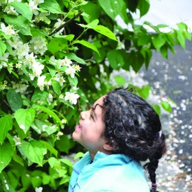 A young girl looks up into a blooming flower on a shrub outdoors. 