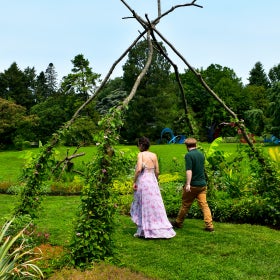 Two people walk underneath a natural trestle made of tree branches in a public garden. 
