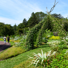 A garden in bloom with repurposed tree limbs constructed into a trellis for flowering vines. Two people walk on a path to the left of the garden admiring it. 
