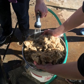 Two hands hold a bundle of fibers used to make paper over a bucket while another hand rinses it with a hose. 