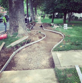 A construction site on a residential streets repairing the sidewalk next to a large tree. 