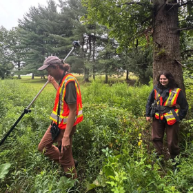A young man and woman in orange safety vests walk through the woods assessing trees. 
