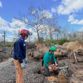 Two men wearing helmets stand in an outdoor area filled with tree limbs and stumps. One of the men uses a chainsaw to cut into a stump. 